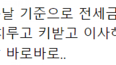 분양잔금을 대출해야하나, 전세입자와 계약하기까지 그 짧은 사이의 대출이 필요해서 알아봅니다.