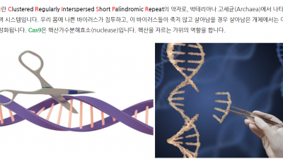 샤르코-마리•투스 질환, 줄기세포에 관한 연구