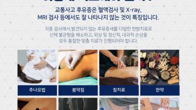 교통사고 초기에 조속히 대처해야 후유증을 최소화 할 수 있습니다   신림동 교통사고한의원 신대방역교통사고한의원 생명마루한의원원
