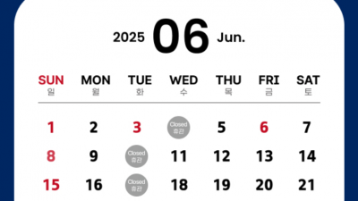 청와대 2025년 6월 입장에 관해서 ; 청와대 관람 현장입장