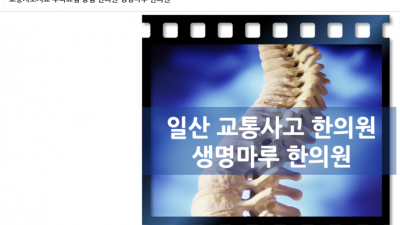 교통사고 후유증 일산 교통사고 한의원에서 털어버리자!