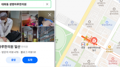 교통사고 후유증으로 인한 허리디스크?!  [일산 교통사고 한의원 병원]