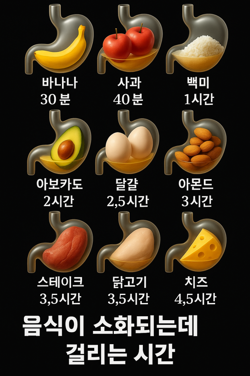 f48edb197e93b4291365062947670d682af4b1de2dhv.png