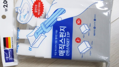 오늘 다이소에서 사려고 하는 것