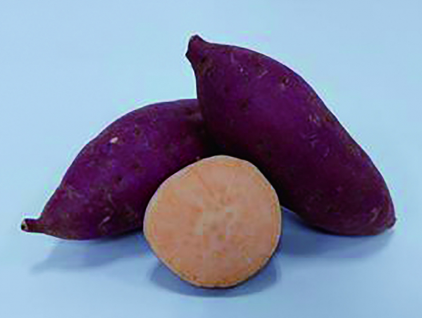 6685327e524bf113e31b5991d9326a4b90cc0050um5o.png