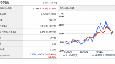 KBSTAR 미국장기국채선물인버스2X(합성 H)