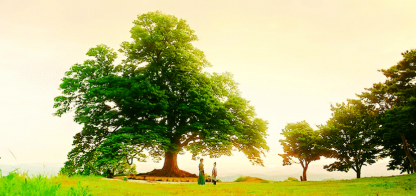 5d7c8ea400e547fc9c73e5f076742d2469929622gm10.png