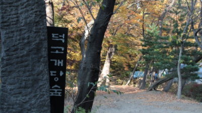 안양 근처 단풍