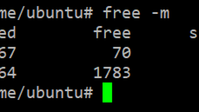 우분투에서 스왑 확인하기 / Check for swap in Ubuntu.