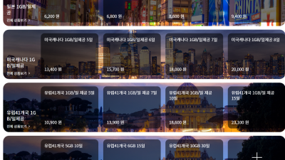 해외(유럽 미국 북미 일본 동남아 베트남 태국)에서 쓰는 eSIM에 대해서 알아보기로 한다.