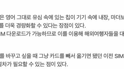 esim 장단점 리뷰 확인 발췌