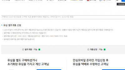 안심모바일 개통안내. 번호이동 이마트24요금제