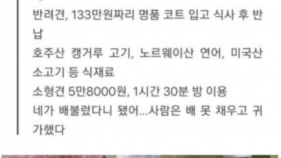 개마카세  호주산 캥거루 고기, 노르웨이산 연어, 미국산 소고기 등 식재료 소형견 5만8000원, 1시간 30분 방 이용