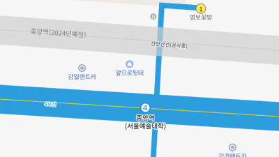생명마루한의원 안산점 ; 지하철역에서 찾아오시는길(from 4호선 중앙역)