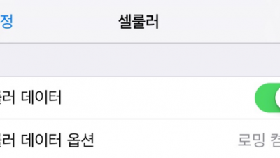 three sim card ; data balance 쓰리심 데이터 잔여량 확인 방법