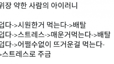 위장 약한 사람의 아이러니 / 테슬라 유료 캐시템 판매시작