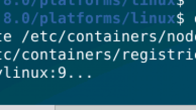 docker run으로 시작하는 리눅스 컨테이너