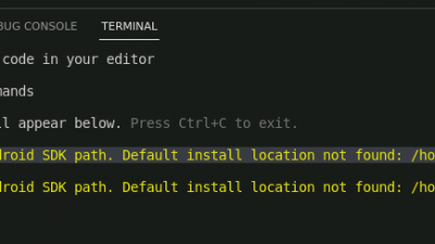 Failed to resolve the Android SDK path. Default install location not found: /home/유저이름/Android/sdk.