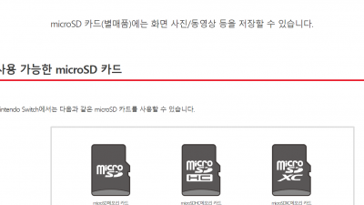 닌텐도스위치 sd카드 용량 포맷 추천