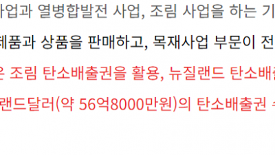 한솔홈데코의 탄소배출권에 대해서