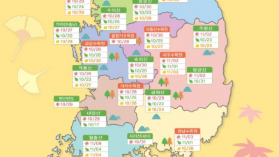 2023 단풍 정리중....