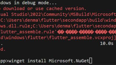 Flutter windows build: Nuget is not installed 플러터 누겟이 안깔렸다고 나오면서 실행이 안될때