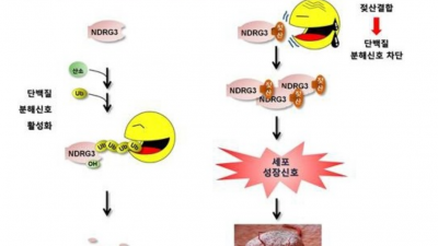 등산 중에 초반에 젖산이 덜 분비되게 하려면
