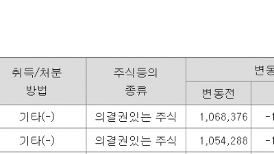 알아봅니다] 와이더 플래닛 , 얼마나 오를 수 있을까?