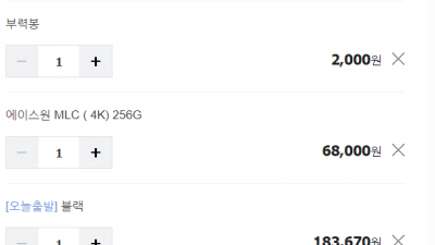 알아봅니다] 에이스원 xpro max, pro3 액션캠 고프로대용 고프로짭