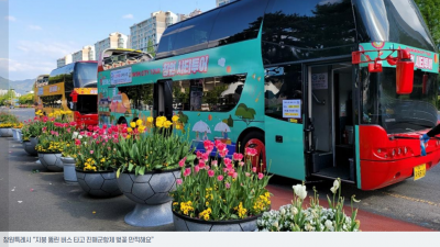 알아봅니다 ] 체리블라썸 창원시티투어버스 진해군항제 벚꽃 특별노선