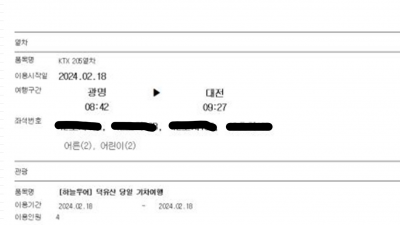 어떡할지 알아봅니다] 덕유산 곤도라 상고대 향적봉 눈꽃기차여행 일정표 예시