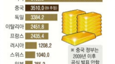 알아봅니다] 중국의 금 보유량 소유량, 미국채권 매도 후 금 소유??