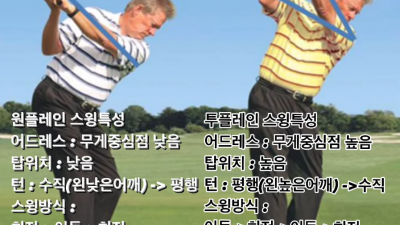 원플레인 스윙 vs 투플레인 스윙