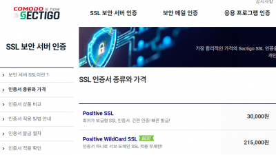 와일드카드 도메인 SSL 인증서. 여러 서브 도메인을 한꺼번에 SSL 인증서