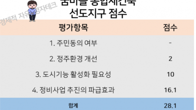평촌 선도지구 일정 ; 1기신도시