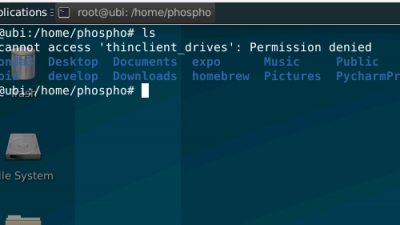 thinclient_drives permission denied 이 에러가 왜 날까 알아봅니다.