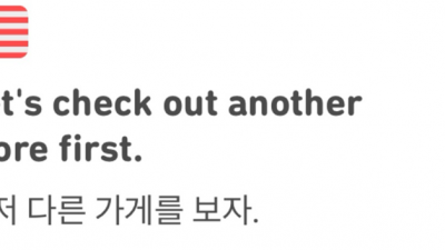 듀오링고 영어표현