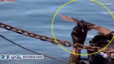 오니솝터 드론, 중국특수부대 새모양 드론, 생체모방 기술