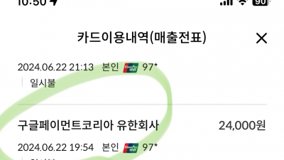 구글페이먼트 결제가 카드사 정보가 있길래 알아봅니다.