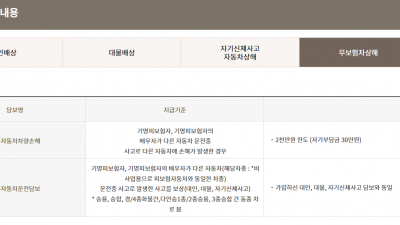 자동차보험 동일증권으로 가입할때 한 차량만 가입해도 되는 세가지