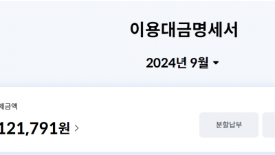 신한카드 8월분 금액 정리