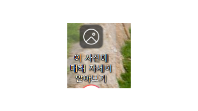 윈도11 배경화면 정보 알아보기, 이 사진에 대해 자세히 알아보기 지우기를 알아봅니다.
