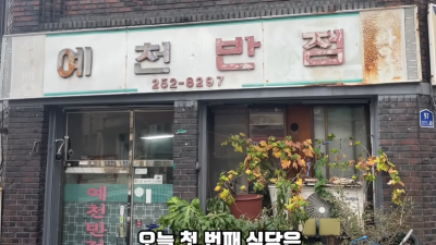 예천반점, 티끌모아 뭉티기 : 김사원세끼를 요약해서 알아봅니다.