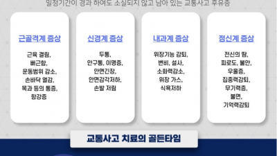 전문의의  체계적인 진단을 통한 후유증의 최소화 - 안산 교통사고 한의원 생명마루 한의원