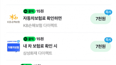 자동차 보험료를 알아보면 돈 또는 포인트를 주는 사이트를 알아보자  자동차 보험 갱신 네이버 토스 gs샵