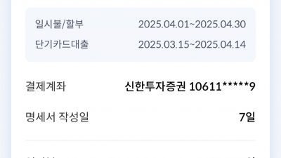 2025년 5월분 신한카드 결제분 정리