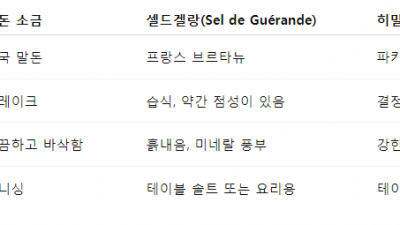 코스트코 말돈 소금에 대해 알아보자