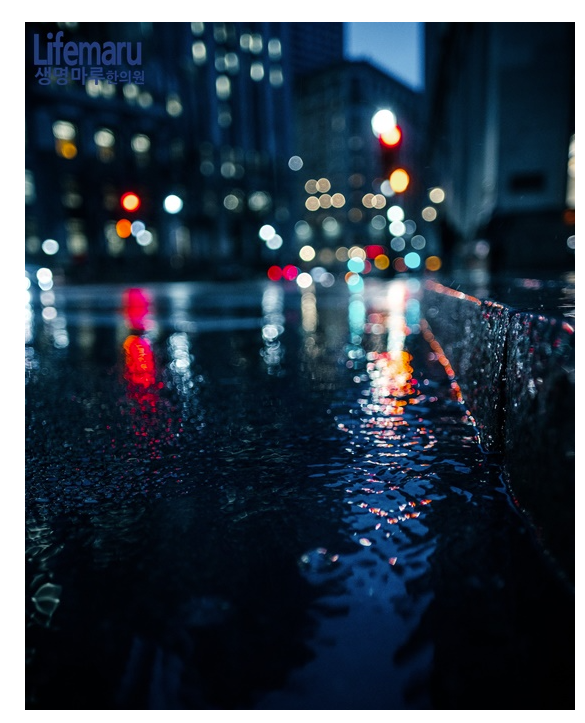b73e779cc64f7f747cc20355cd53f9bcf8084a3egd0n.png