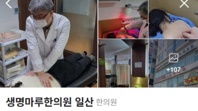 일산에서 교통사고 치료 쉽게 받아보려면 어떤 한의원을 찾아가는 것이 좋을까요?