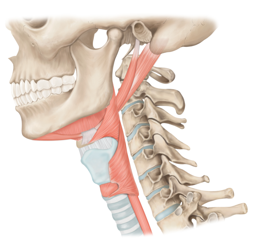 accec7832c0fe7e4503e69c25e7c7d9ba45d71f5w20u.png